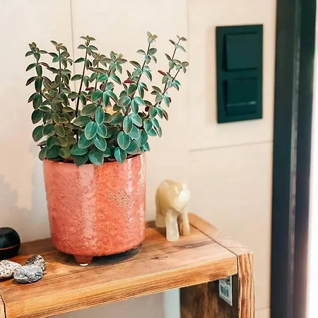 Private Zen House To Unplug And Recharge Vikendica