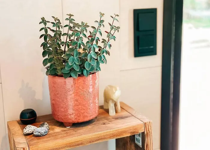 Private Zen House To Unplug And Recharge Hébergement de vacances